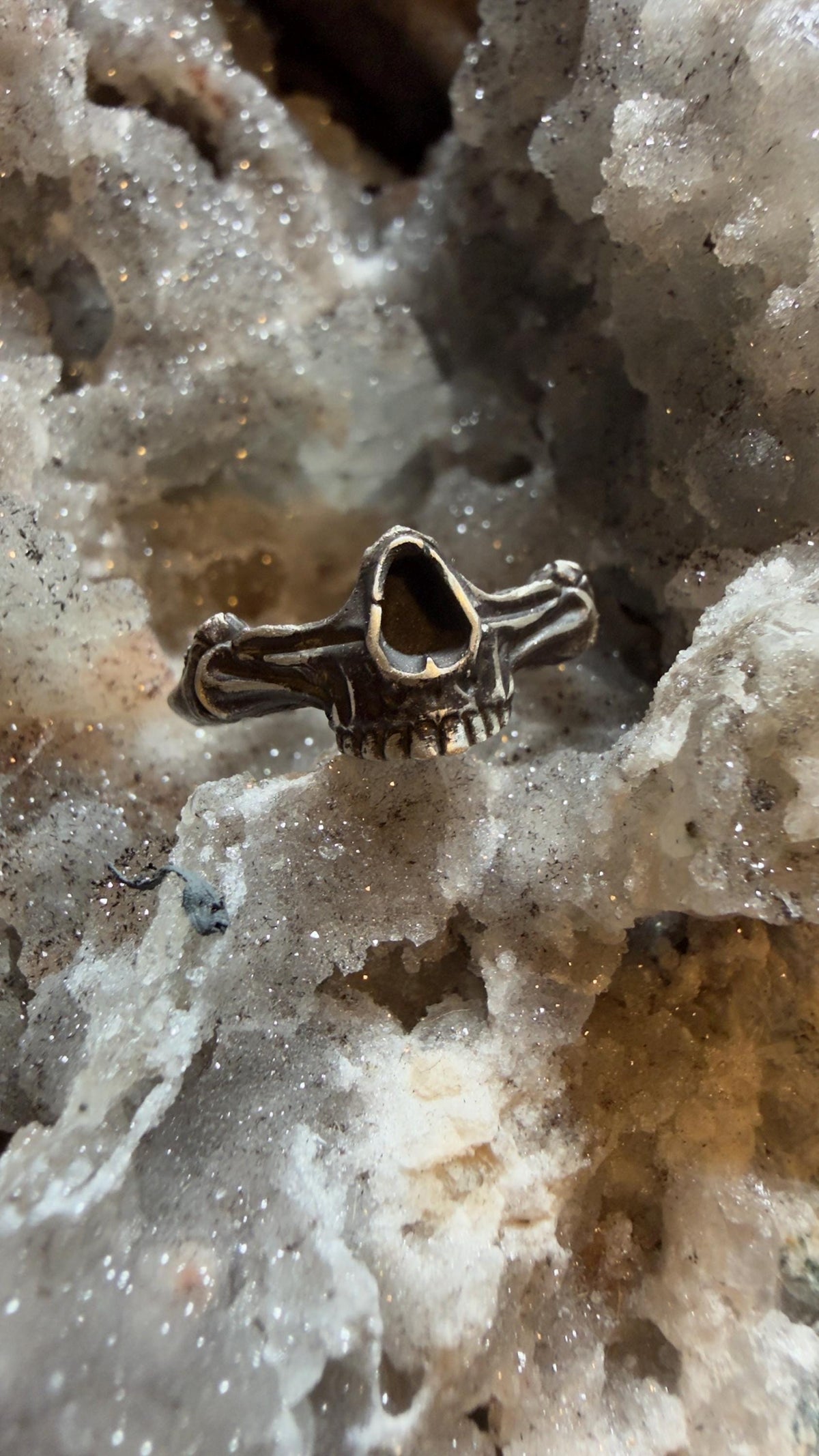 Skeleton Jaw 925 Sterling Silver Ring