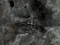 Gothic Cathedral Ring 925 Sterling Silver