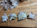 Veracruz Amethyst Crystal Cluster, Piedra Parada Specimen, Natural Terminations, Light Lavender Color
