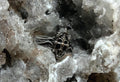 Gothic Cathedral Ring 925 Sterling Silver