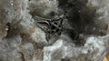Gothic Cathedral Ring 925 Sterling Silver