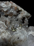 Venus 925 Sterling Silver Ring